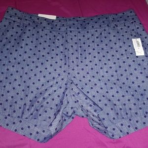 NWT! Navy Polk A Dot Shorts